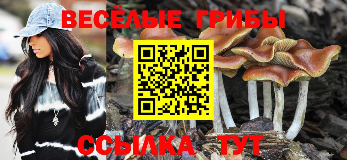 Псилоцибиновые грибы GOLDEN TEACHER Коммунар