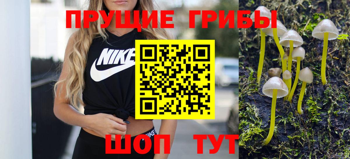 Коммунар  Псилоцибиновые грибы ЛСД  Вход с VPN 